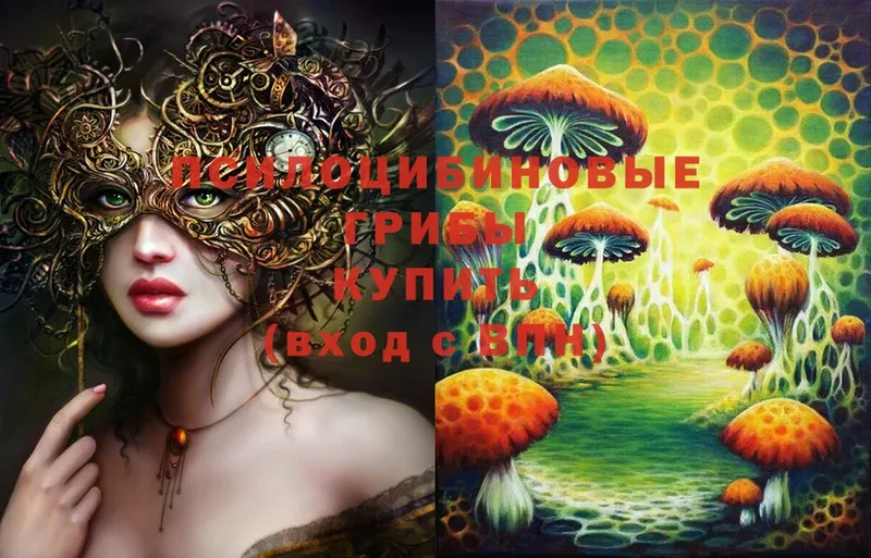 Галлюциногенные грибы Cubensis  Братск 